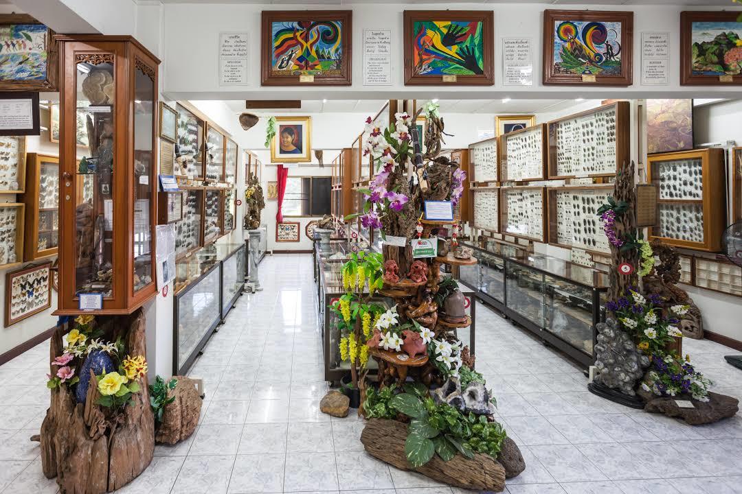 Museum for Verdens Insekter og Naturundere